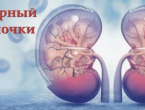 12 марта – Всемирный день почки 